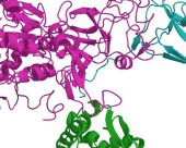HAS THE UPPER LIMIT OF UREASE ACTIVITY BEEN REVISED?