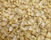 WHAT YOU CAN DO WITH SOY HULLS